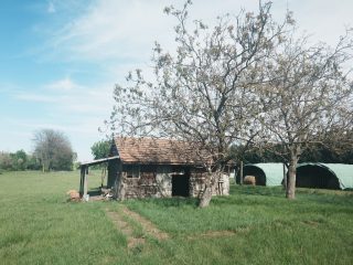 Eladó 4521 m²-estelek Gárdony, Géza fejedelem utca: 39'900'000 Ft