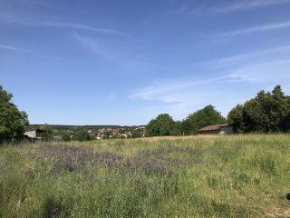 Eladó 9825 m²-estelek Gödöllő, Központhoz közeli csendes utca: 350'500'000 Ft