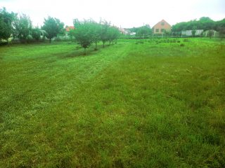 Eladó 2392 m²-estelek Inárcs, M5-ös autópálya közelében: 33'000'000 Ft