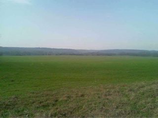 Eladó 70000 m²-esmezőgazdasági ingatlan Isaszeg, Isaszeg külterület utca: 35'000'000 Ft