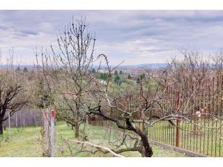 Eladó 24 m²-esüdülő Kerepes, Felsősor utca: 14'900'000 Ft