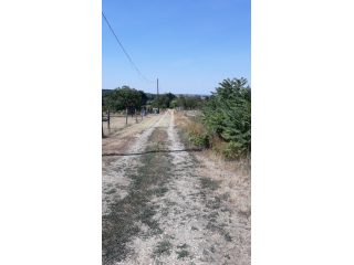 Eladó 1704 m²-esmezőgazdasági ingatlan Nagylók, Dózsa György utca: 2'100'000 Ft