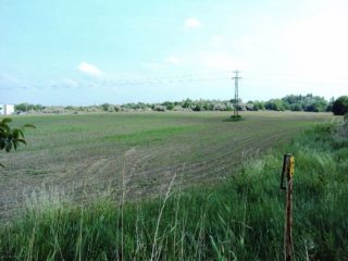 Eladó 75557 m²-esmezőgazdasági ingatlan Pákozd, Fehérvári utca: 226'671'000 Ft