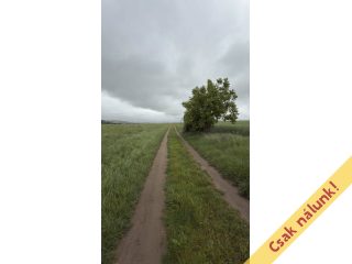 Eladó 6088 m²-estelek Pécel, Városközpont közeli utca: 5'800'000 Ft