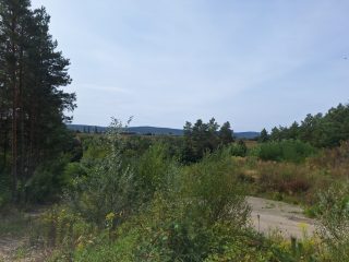 Eladó 800 m²-estelek Pilis, Pilisborosjenő utca: 44'900'000 Ft