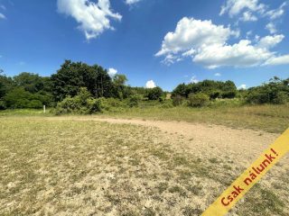Eladó 1220 m²-esmezőgazdasági ingatlan Pilis, Pilisszentlászló utca: 13'500'000 Ft