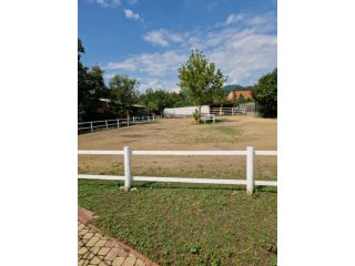 Eladó 170 m²-escsaládi ház Pomáz, hargita utca utca: 135'000'000 Ft