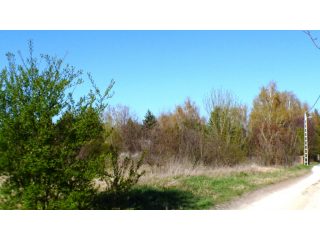 Eladó 5574 m²-estelek Siófok, Békásdűlő dűlő: 32'000'000 Ft