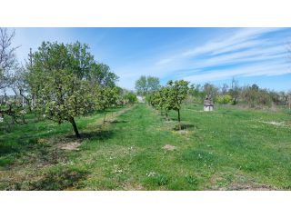 Eladó 1660 m²-esmezőgazdasági ingatlan Siófok, Szabadifürdő: 26'000'000 Ft