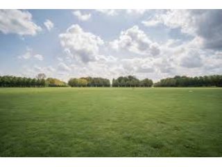 Eladó 4514 m²-estelek Székesfehérvár, Budai utca: 198'616'000 Ft