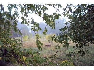 Eladó 1280 m²-estelek Székesfehérvár, Lőcsei utca: 60'000'000 Ft