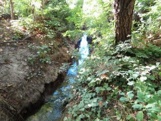 Eladó 3178 m²-esmezőgazdasági ingatlan Szentantalfa, Külterület: 16'800'000 Ft