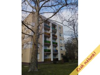 Eladó 53 m²-estársasházi lakás Szigetszentmiklós, Központ közeli utca: 51'900'000 Ft