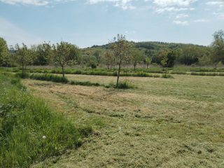 Eladó 13109 m²-esmezőgazdasági ingatlan Tab, BELTERÜLET: 8'900'000 Ft