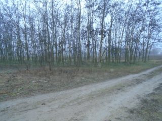 Eladó 2527 m²-estelek Tiszakécske, Holt-Tiszánoz közel utca: 6'500'000 Ft