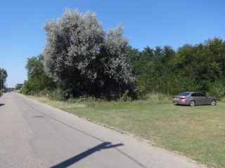 Eladó 8000 m²-estelek Tiszakécske (Kerekdomb) , Kerekdomb út: 40'000'000 Ft