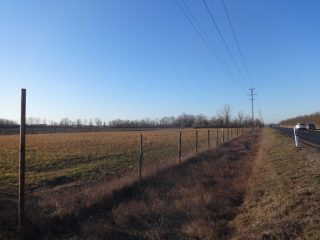 Eladó 8225 m²-estelephely Tiszakécske, Szentkirályi út út: 22'000'000 Ft