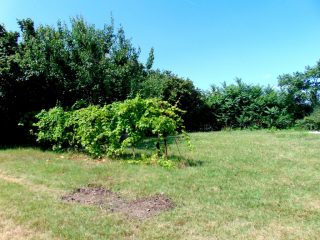 Eladó 2584 m²-estelek Tordas, Szabadság utca: 85'000'000 Ft