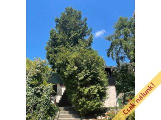 Eladó 49 m²-esüdülő Vác, Nyulas: 23'000'000 Ft