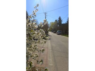 Eladó 45 m²-escsaládi ház Veresegyház, Tópart: 64'000'000 Ft