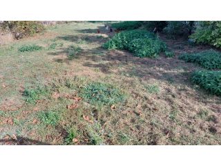 Eladó 889 m²-estelek Zamárdi, Ófalu: 38'900'000 Ft