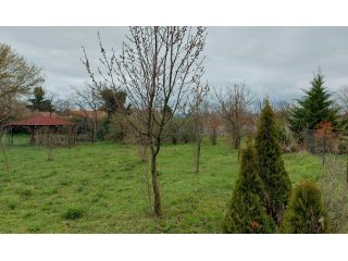 Eladó 1300 m²-estelek Zamárdi, Ófalu utca: 75'000'000 Ft