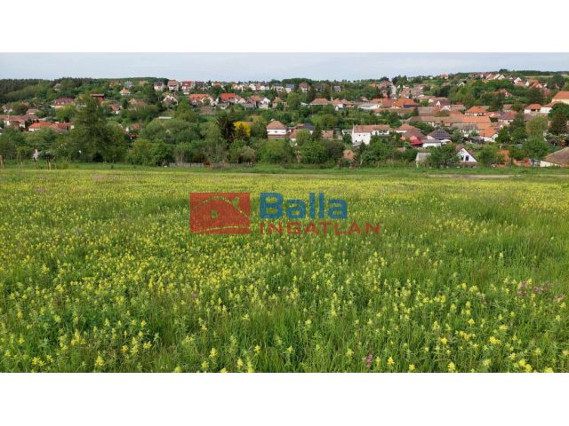 Berkenye, Bérc utca, 1949 m²-es, telek