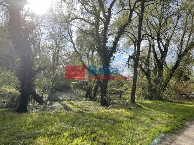 XVII. Kerület, VÍZFORRÁS utca, 386 m²-es, mezőgazdasági ingatlan