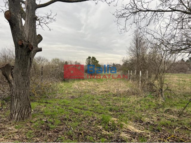 XVII. Kerület, Agyaghegyi dűlő utca, 1100 m²-es, mezőgazdasági ingatlan