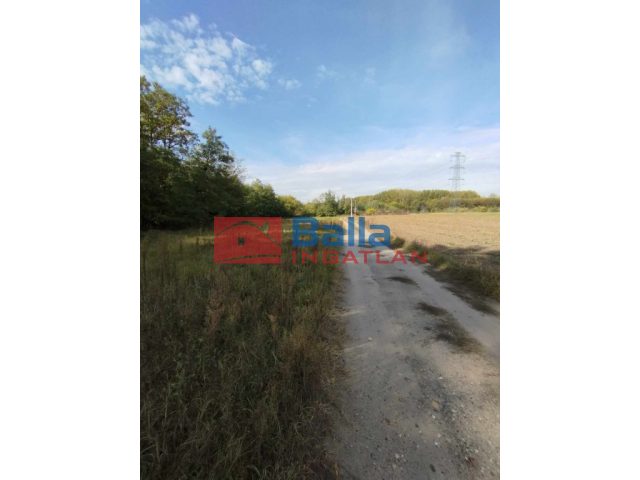 Bugyi, Rádai utca mellet, 65000 m²-es, mezőgazdasági ingatlan