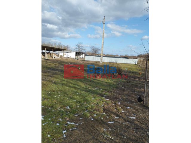 Dabas, Örkény utca, 730 m²-es, telek