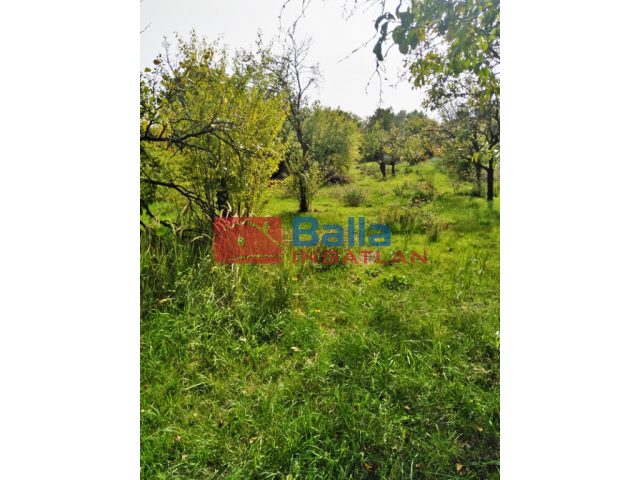 Dánszentmiklós, Dánszentmiklósi csodás telek gyümölcsfákkal eladó, 1950 m²-es, telek