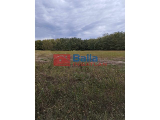 Délegyháza, Gacs sor, 12000 m²-es, mezőgazdasági ingatlan