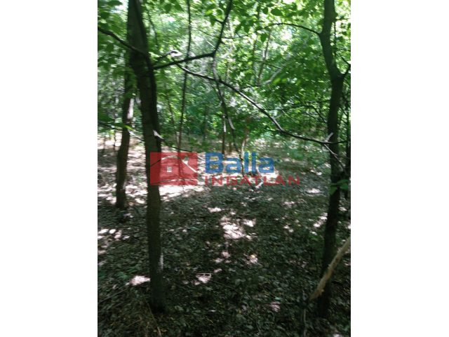 Dunaharaszti, Névtelen  utca utca, 2269 m²-es, telek