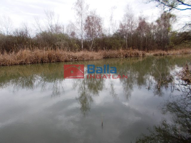 Dunaharaszti, Paradicsom sziget, 68 m²-es, üdülő, 2+1 félszobás