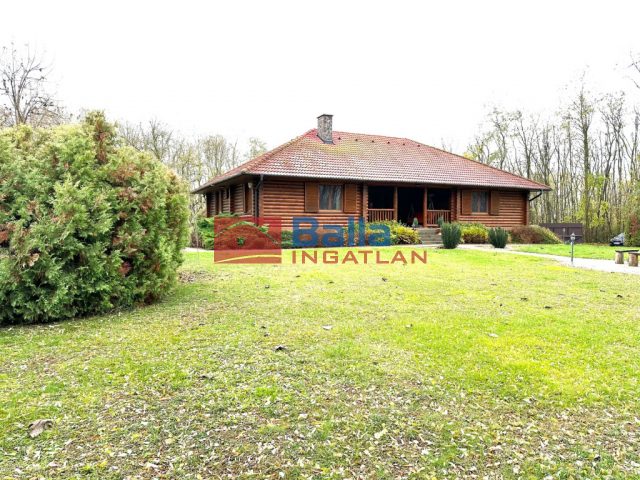 Hatvan, Tavasz utca, 220 m²-es, családi ház, 6 szobás, kiváló állapotú