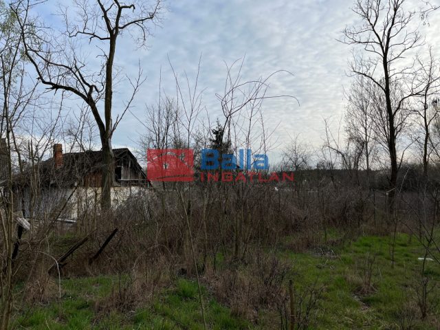 Inárcs, Erdősor utca, 4034 m²-es, telek