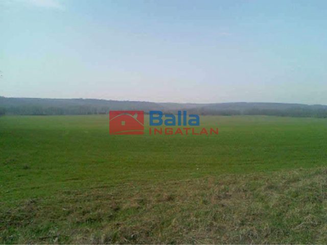 Isaszeg, Isaszeg külterület utca, 70000 m²-es, mezőgazdasági ingatlan