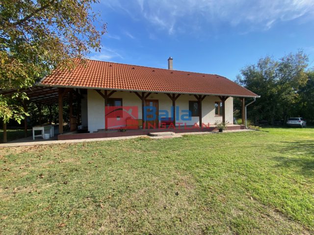 Kakucs, Világos Tanya,  Kakucstól 1,5 km, 11000 m²-es, mezőgazdasági ingatlan