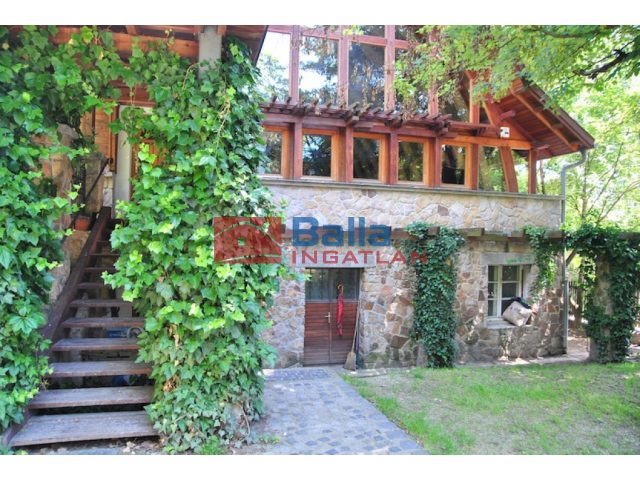 Leányfalu, Kikelet utca, 650 m²-es, családi ház, jó állapotú