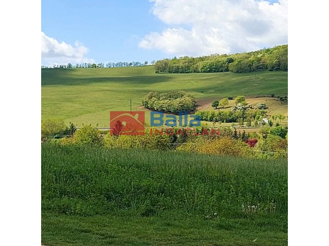 Lulla, Vadvirág utca, 1578 m²-es, telek