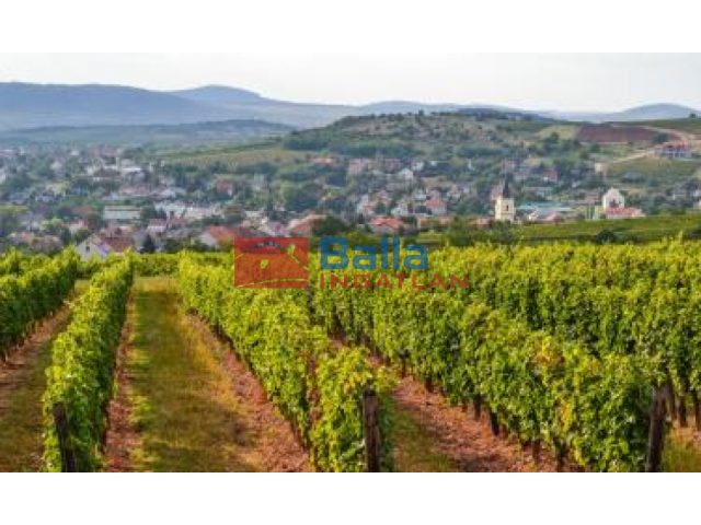 Mád, . utca, 97 m²-es, családi ház, 2+1 félszobás, jó állapotú