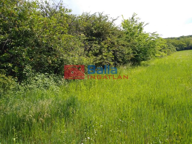 Mogyoród, külterület, 5988 m²-es, mezőgazdasági ingatlan