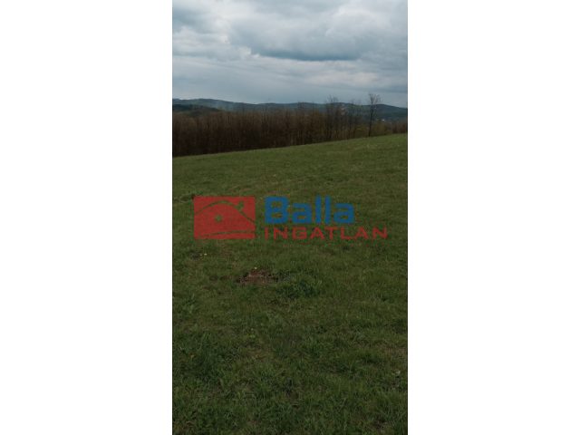 Ózd, Mosonyi M utca, 7493 m²-es, mezőgazdasági ingatlan