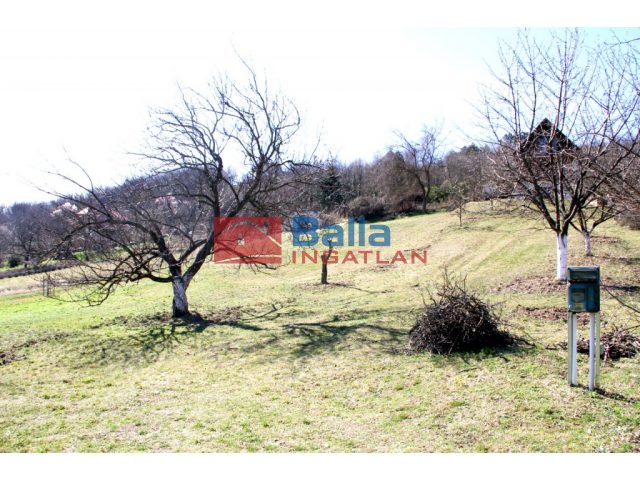 Pázmánd, Szőlőhegy utca, 1490 m²-es, telek