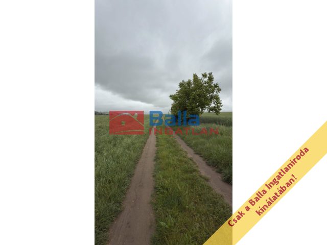 Eladó 6088 m²-estelek Pécel, Városközpont közeli utca: 5'800'000 Ft