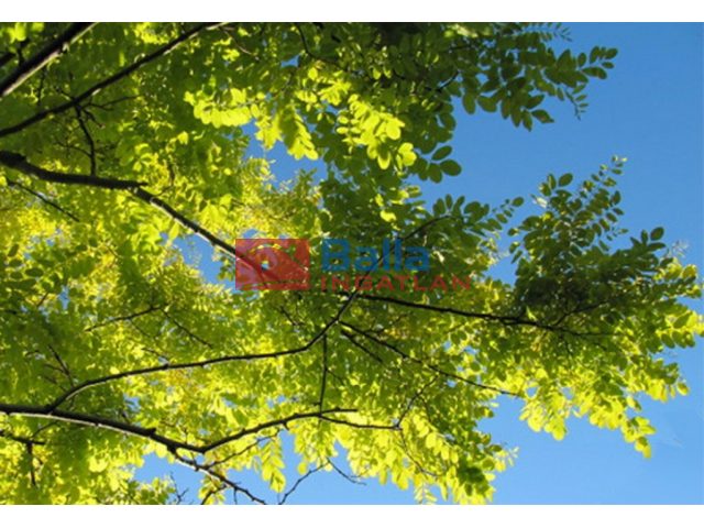 Sárszentlőrinc, Borjád-Úzd térsége, 910 m²-es, telek