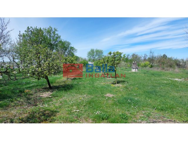 Siófok, Szabadifürdő, 1660 m²-es, mezőgazdasági ingatlan