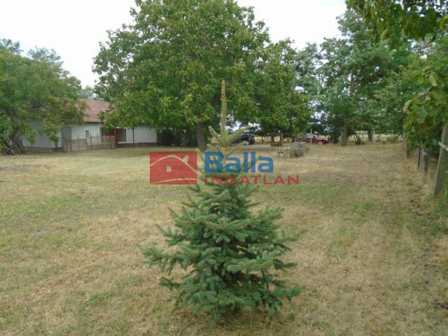 Tiszakécske, Pereghalom dűlő, 3200 m²-es, mezőgazdasági ingatlan