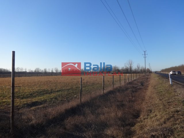 Tiszakécske, Szentkirályi út út, 8225 m²-es, telephely, kiváló állapotú
